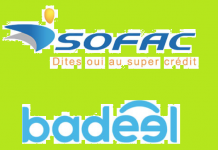 LLD : Sofac prend une participation de 15% dans le capital de Badeel
