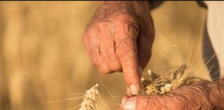 Agrifinance : Al Amana, JAIDA et Takamoul Al Fallah lancent une offre intégrée