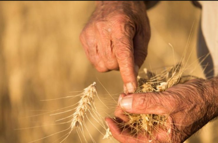 Agrifinance : Al Amana, JAIDA et Takamoul Al Fallah lancent une offre intégrée